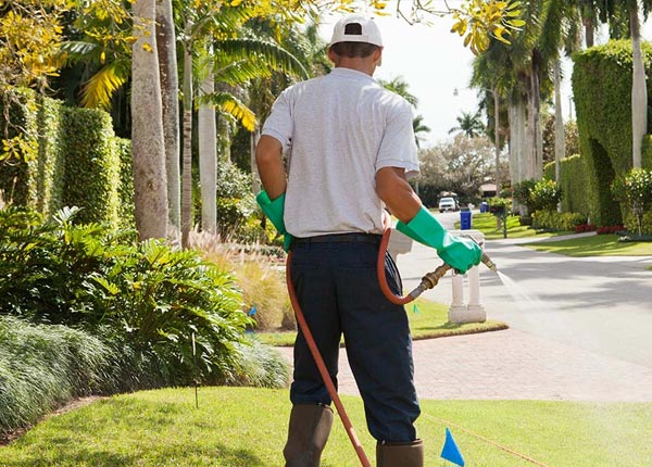 About Hickory Plains AR Pest Control Pros